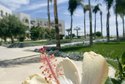 Old Palace Resort Sahl Hasheesh