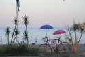Oasis Hotel Bungalows Rhodes- All Inclusive