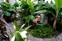 Oasis Hotel Bungalows Rhodes- All Inclusive