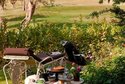 L'Andana Tenuta La Badiola