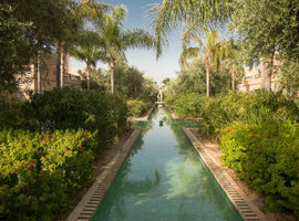 Марокко - Club Med Marrakech La Palmeraie 4*