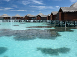 Anantara Veli Maldives Resort 5*