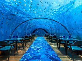 Hurawalhi Island Resort 5*