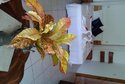 Le Relax St. Joseph Guest House