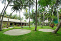 mini-golf