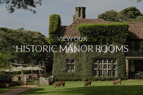 GIRAFFE MANOR