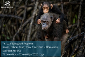 7 стран Западной Африки