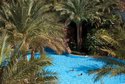 Baron Palms Resort Sharm El Sheikh (Adults Only)
